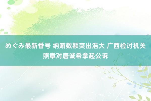 めぐみ最新番号 纳贿数额突出浩大 广西检讨机关照章对唐诚希拿起公诉