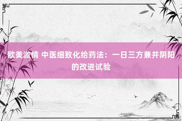 欧美激情 中医细致化给药法：一日三方兼并阴阳的改进试验