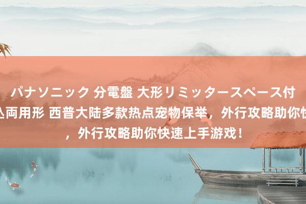 パナソニック 分電盤 大形リミッタースペース付 露出・半埋込両用形 西普大陆多款热点宠物保举，外行攻略助你快速上手游戏！