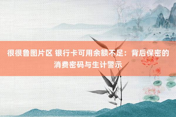 很很鲁图片区 银行卡可用余额不足：背后保密的消费密码与生计警示