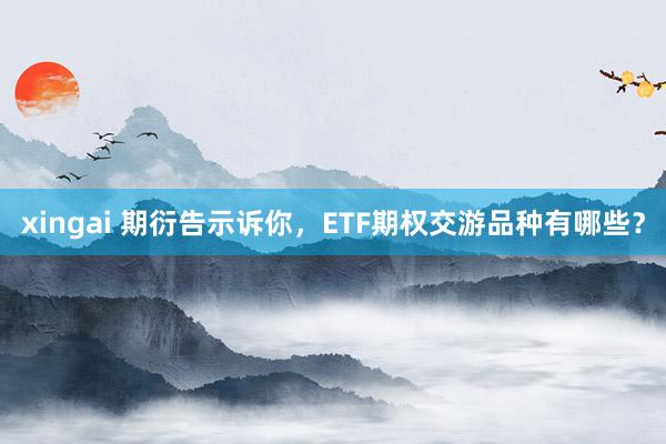 xingai 期衍告示诉你，ETF期权交游品种有哪些？