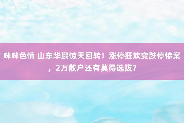 咪咪色情 山东华鹏惊天回转！涨停狂欢变跌停惨案，2万散户还有莫得选拔？