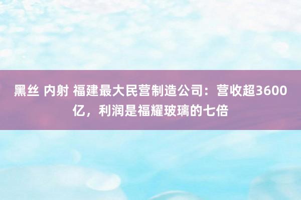 黑丝 内射 福建最大民营制造公司：营收超3600亿，利润是福耀玻璃的七倍