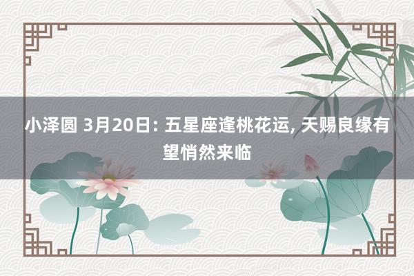 小泽圆 3月20日: 五星座逢桃花运, 天赐良缘有望悄然来临