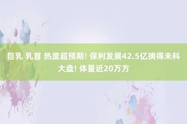 巨乳 乳首 热度超预期! 保利发展42.5亿摘得未科大盘! 体量近20万方