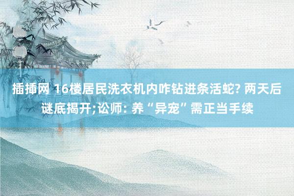 插揷网 16楼居民洗衣机内咋钻进条活蛇? 两天后谜底揭开;讼师: 养“异宠”需正当手续