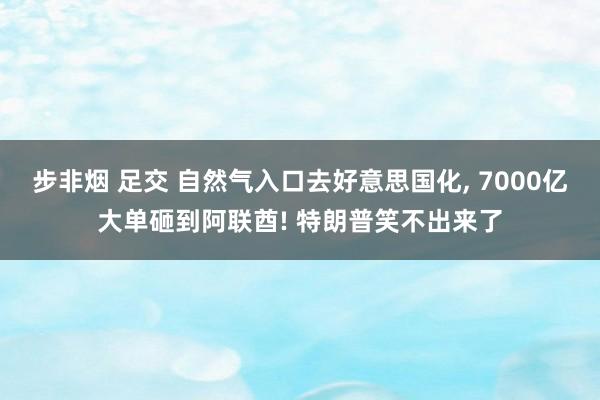 步非烟 足交 自然气入口去好意思国化, 7000亿大单砸到阿联酋! 特朗普笑不出来了