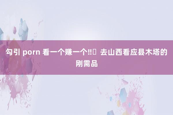 勾引 porn 看一个赚一个‼️去山西看应县木塔的刚需品