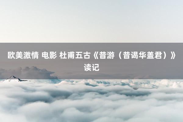 欧美激情 电影 杜甫五古《昔游（昔谒华盖君）》读记