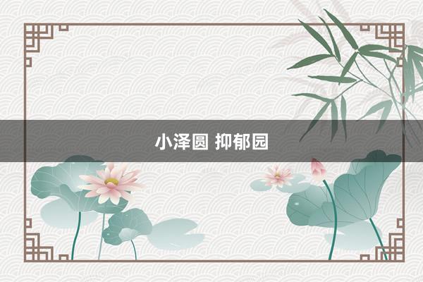小泽圆 抑郁园