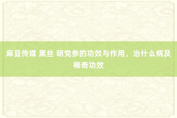 麻豆传媒 黑丝 明党参的功效与作用，治什么病及稀奇功效