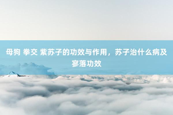 母狗 拳交 紫苏子的功效与作用，苏子治什么病及寥落功效